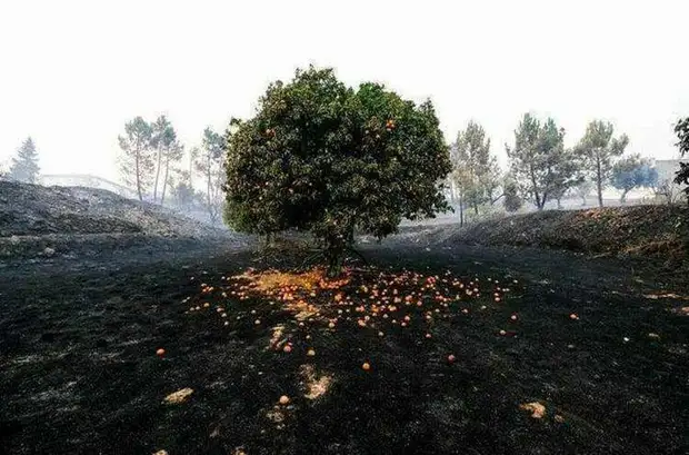 25 интересных и познавательных снимков со всего мира, которые наверняка вы увидите впервые 