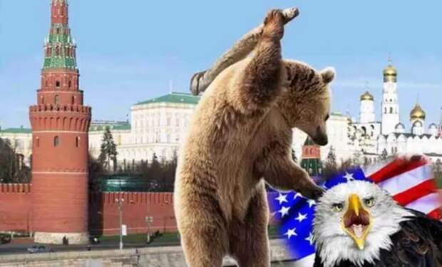 Дубина против тонкой нервной организации... Русские опять играют не по правилам