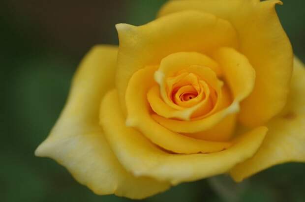 Есть только миг между прошлым и будущем... Есть только миг между прошлым и будущем...