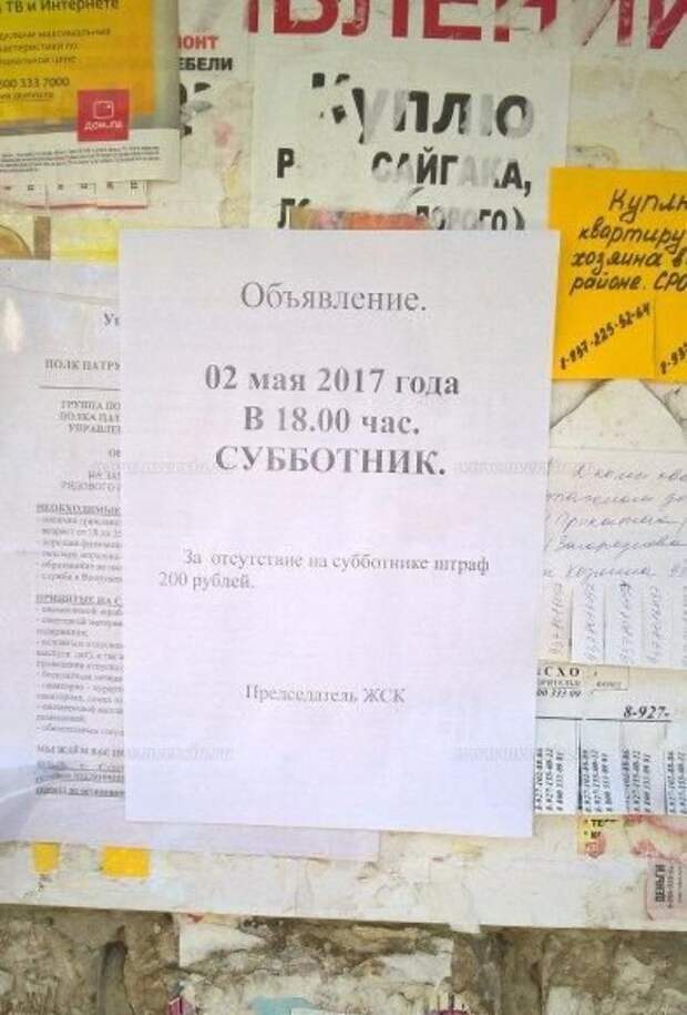 Образец объявления на субботник жильцам многоквартирного дома