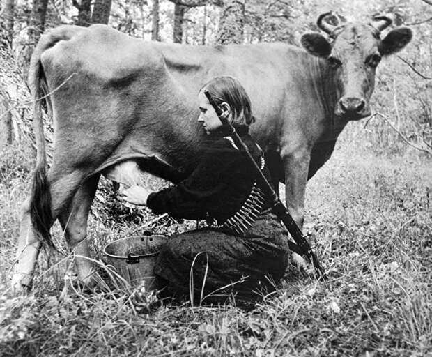 Пытки и казни Пытки и казни война, партизаны., подвиг