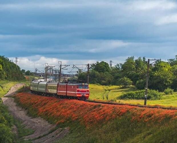 Поезда «Таврия» вновь будут ходить из Москвы в Евпаторию