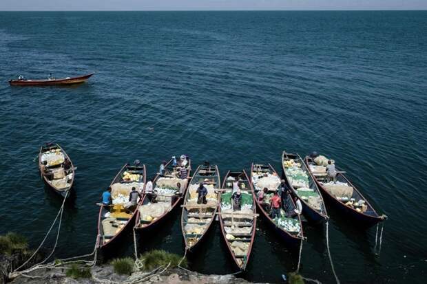 Рыбное место: как живут на крошечном острове Мигинго Мигинго, в мире, жизнь, люди, остров, рыба, рыбалка