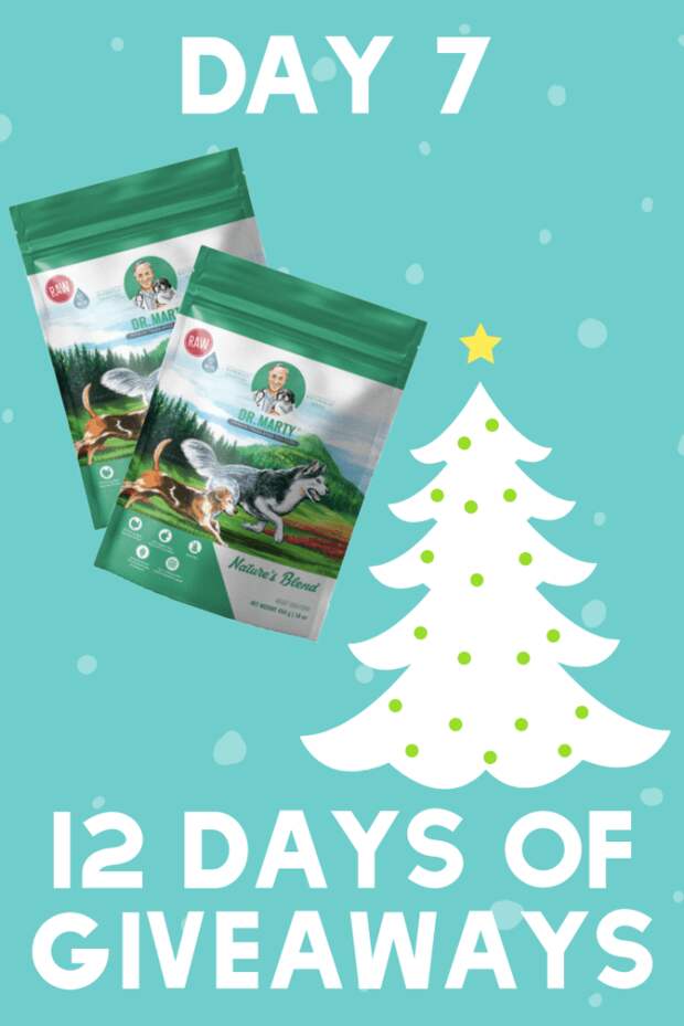 Feeding your floof can be difficult. We have a food we're sure your dog will love. Enter the giveaway on It's Dog or Nothing!