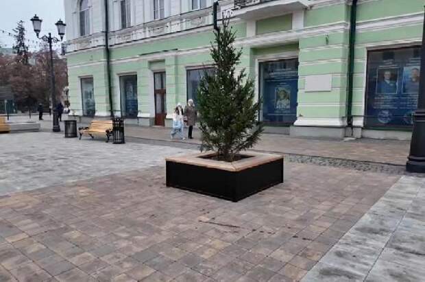 Обновленный Тамбовский Арбат украсят 38 декоративных елей