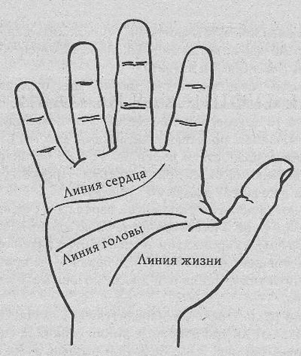 Линия жизни инн. Болезни по ладони. Болезни по ладоням рук. Определение болезни по ладони. Линия жизни с сердцем.