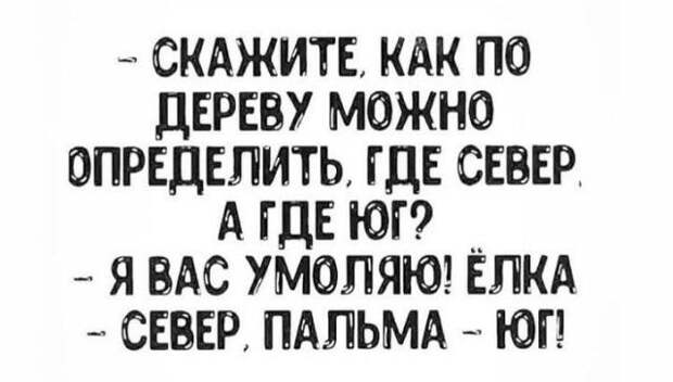 seti-memy-shutki-citaty-vkontakte-vkontakte-smeshnye-statusy