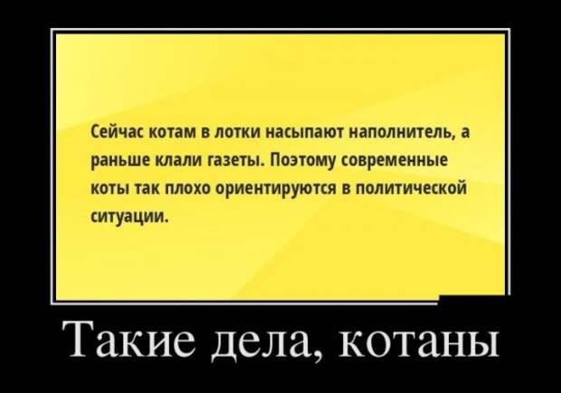 Обо всём.