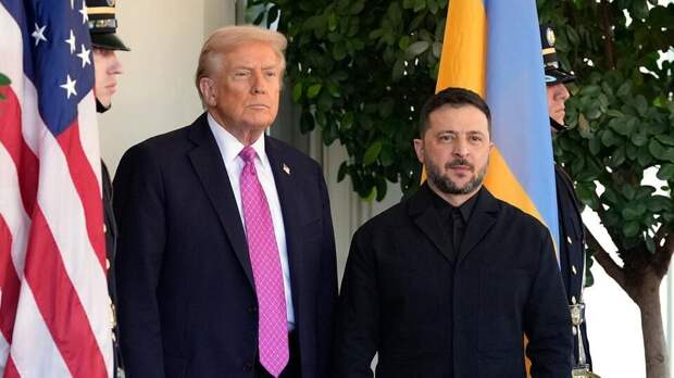 В Британии назвали действия Зеленского "плевком в лицо Трампу"