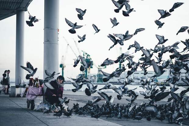 japan-street-photography-96-5809b7a879ac4__880