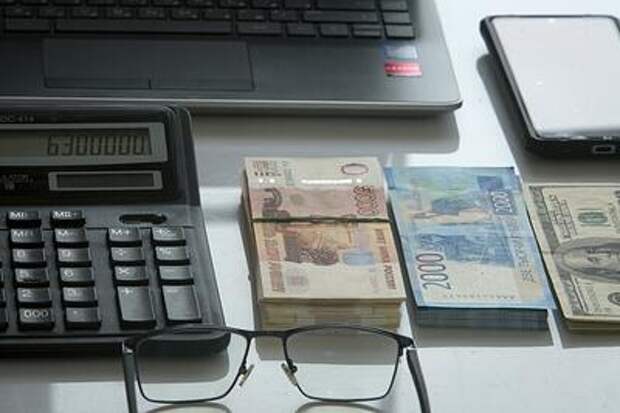 Никаких собак они не чипировали: глава известного в Краснодаре приюта «Краснодог» с сообщниками похитили 1,5 миллиона из бюджета города