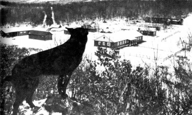 Даманский, Дулаты, Жаланашколь — неизвестные страницы истории советско-китайского конфликта