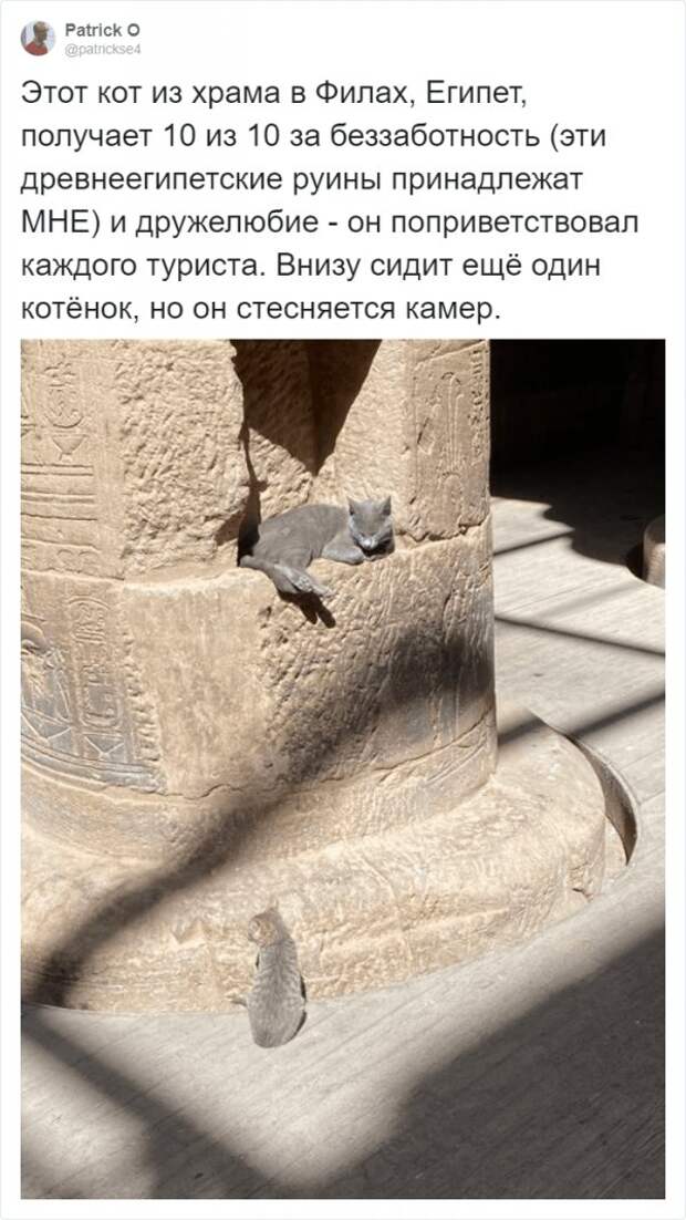 www.vsyako.net