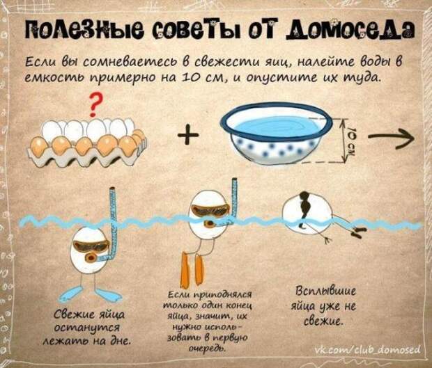 Полезные советы от домоседа