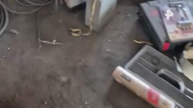 Майнинг-грузовик похитил электричество на 3 млн рублей в Бурятии