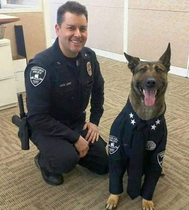 1587125126_policejskie-budni-2.jpg