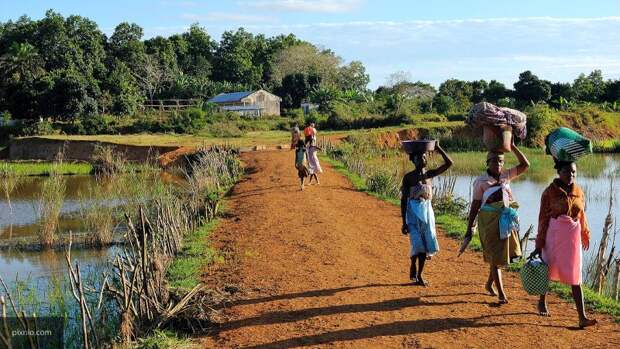 Жители Мадагаскара просят власти остановить австралийскую корпорацию, уничтожающую леса 