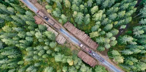 Евросоюз запретит импорт из России цемента, древесины, каучука и химикатов