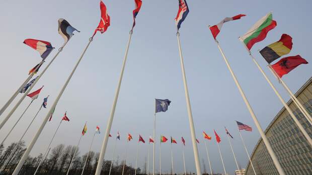 "Если ты не за столом, ты в меню". Только они способны дать отпор Трампу