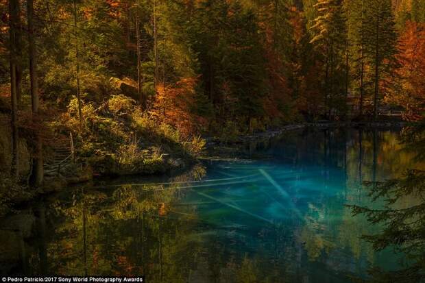 Лесное озеро в горах Швейцарии. Фотограф - Бернс Оберланд искусство, конкурс, красота, фото