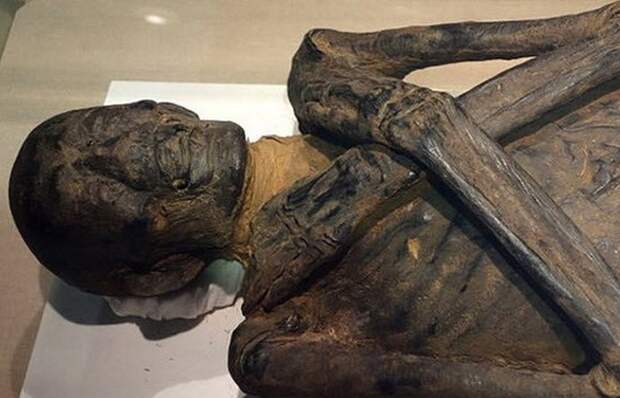4200-летняя мумия. 4200-летняя мумия.