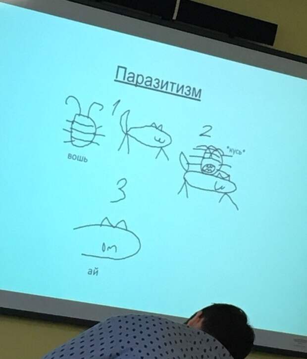 Наглядно о взаимоотношениях живых организмов Наглядно о взаимоотношениях живых организмов