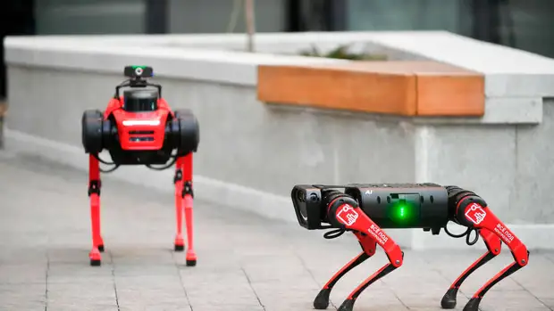 Москвичам предложили выбрать кличку для патрулирующей столицу робособаки