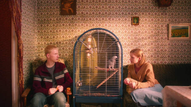 Кадр из фильма «Мальчик-птица»