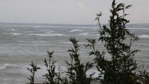 В Феодосии подготовились к ликвидации возможного выброса мазута