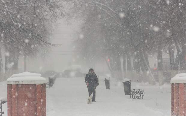 Рязанцев предупредили о снегопаде с дождем и усилении ветра