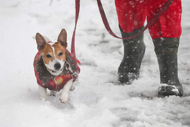 Синоптик Леус: улучшение погоды в Москве ожидается в среду