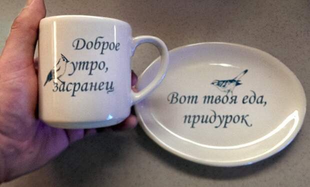 17 парочек, которые не признают всяких телячьих нежностей