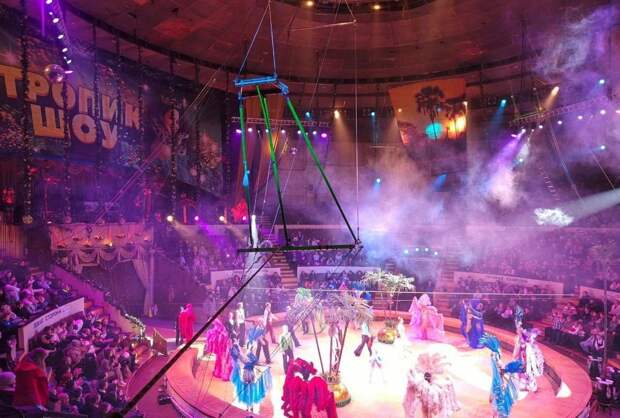 Цирк Космос сегодня https://t.me/webmoney_dn/311982