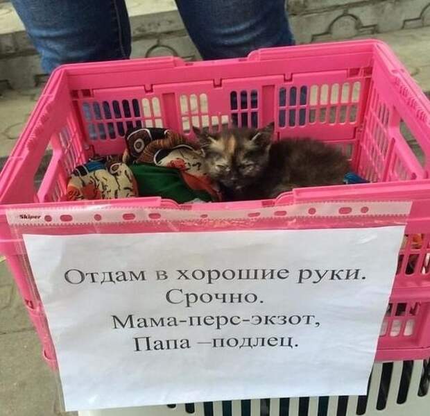 Подборка картинок с надписями (20 фото)