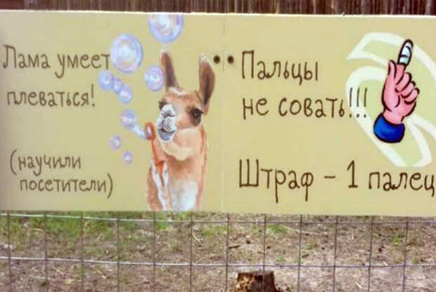 Проделки веселой ламы. Проделки веселой ламы.