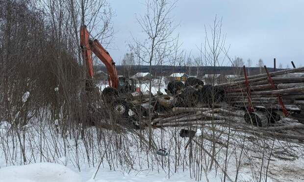 В Вилегодском округе в ДТП погиб водитель