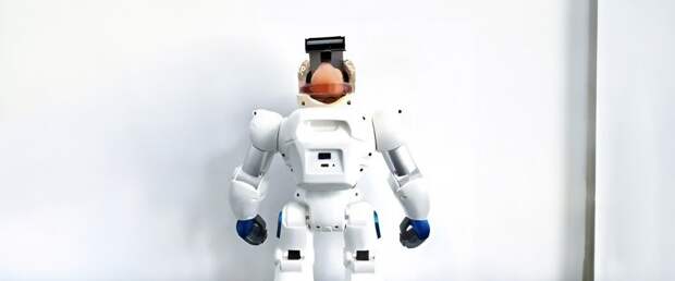 Китайские учёные создают роботов, управляемых клетками человеческого мозга