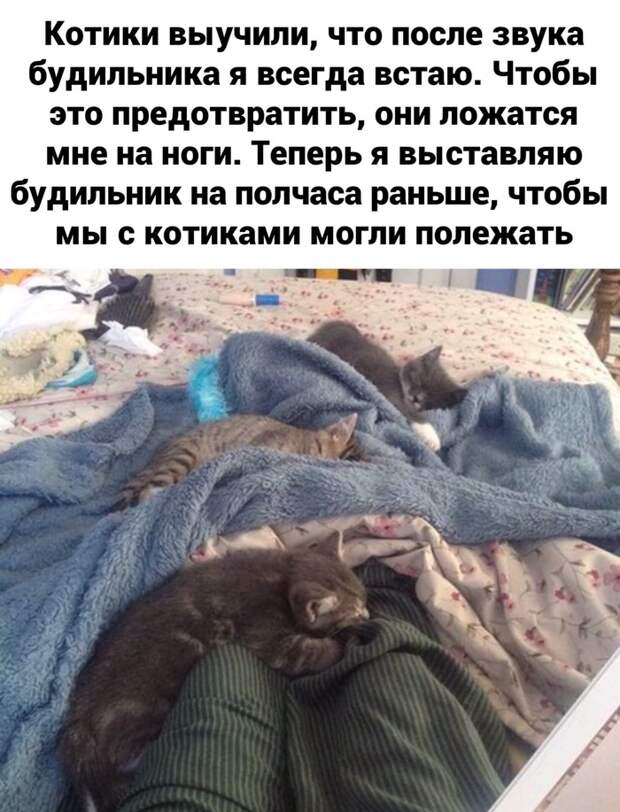 Cопротивляться бeсполезно