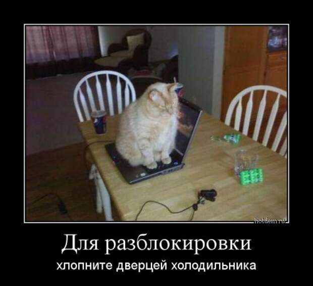 1475822638_demki-10