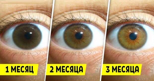 thumb2-600x315