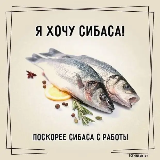 - Мадам, я хочу утонуть в ваших глазах! - Подождите, я их ещё не залила... - Мадам, я хочу утонуть в ваших глазах! - Подождите, я их ещё не залила... кресло, например, машину, КамАЗ, совсем, ребёнке, памяти, недавно…Хоть, убейте, понимаю, зачем, нужна, туалетная, бумага, откуда, запахом, оправдывается, ромашки, использования, никто