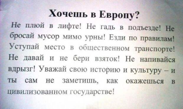 Смешные объявления из подъездов (16 фото)