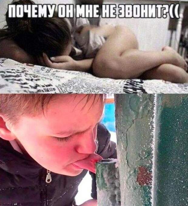 Прикольные до слез картинки с юмором