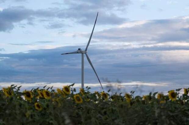 A wind turbine is seen through sunflowers during sunset outside Ulyanovsk, Russia July 20, 2020. Picture taken July 20, 2020. REUTERS/Maxim Shemetov