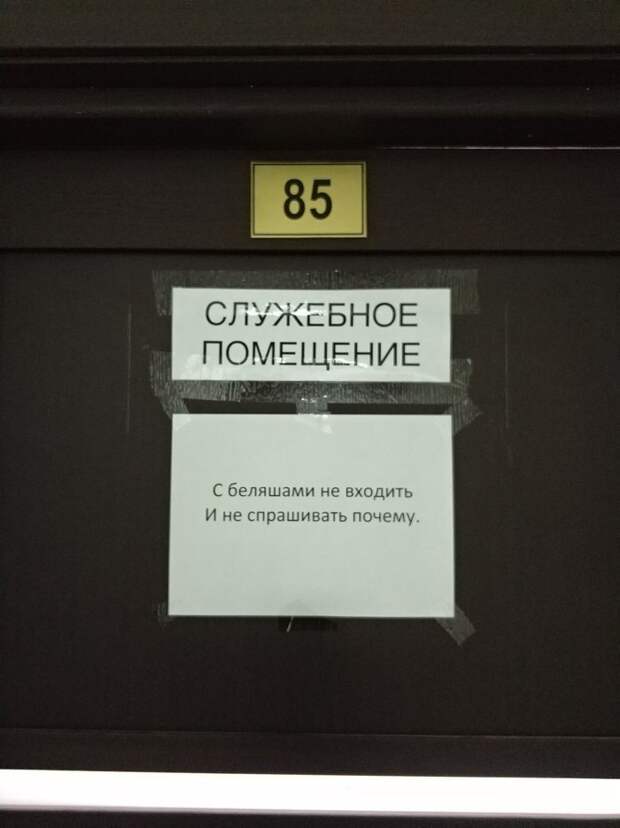 Самый жирный пост Креизи: всё о беляшах Самый жирный пост Креизи: всё о беляшах