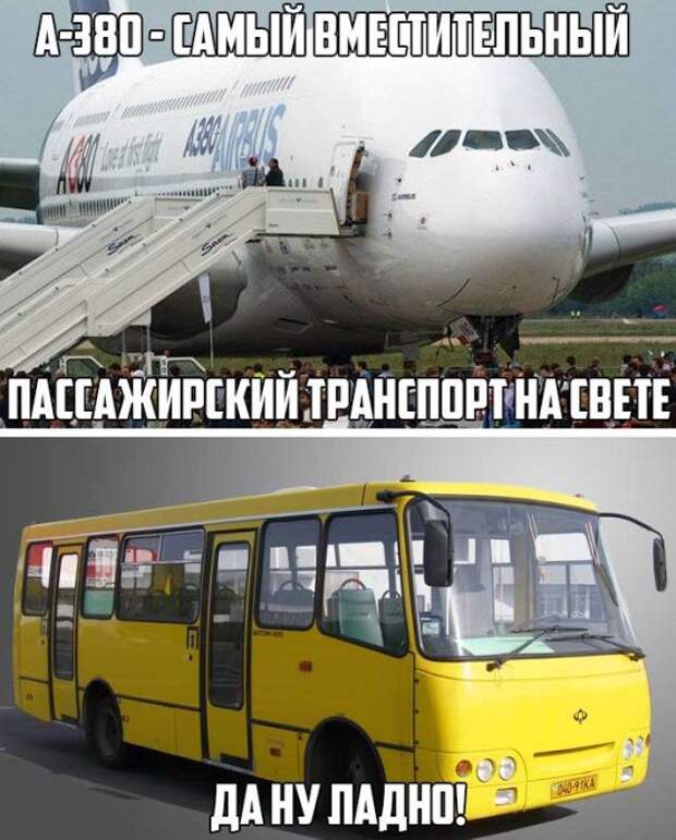 яяя1265