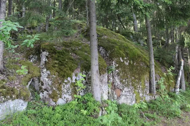 "Тянутся сосны в прозрачное небо, глыбы гранита заснули давно..." Парк Монрепо в Выборге
