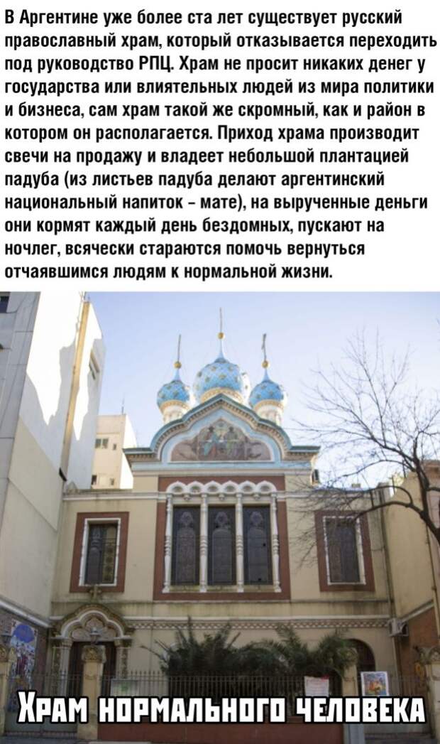 kartinok-prikolnyh-podborka-kartinki-smeshnye-kartinki-fotoprikoly