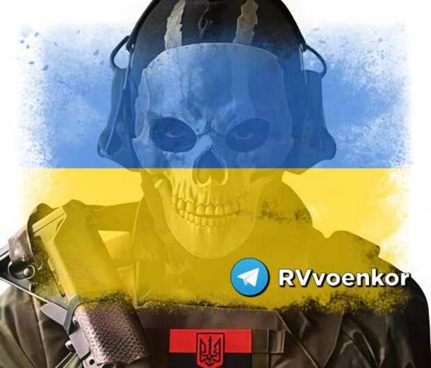 «Мы в полной ж*пе!» — ВСУ «разгромили» войска НАТО — WSJ