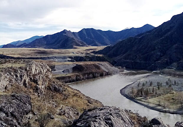 В Горном Алтае ищут волонтёров для экспедиции «По следам снежного барса»